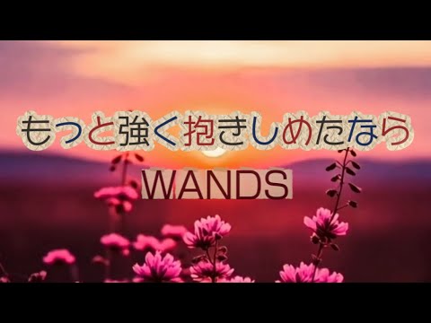 WANDS 『もっと強く抱きしめたなら』 【歌詞動画】