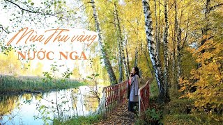 Mùa Thu Vàng Nước Nga| Dạo Rừng Thu, Sông Thu| Tuyệt Vời Như  Levitan| Золотая Осень| Golden Autumn