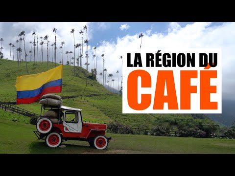 Vidéo: Visitez le Triangle du Café de Colombie