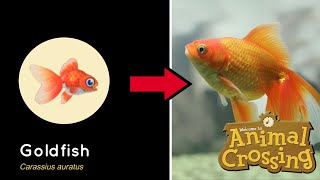 All Animal Crossing Fish / In Real Life!! (New Horizons)