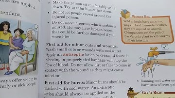 class 4 Science  L-7 Keeping Safe (part-3)