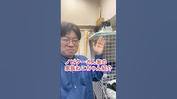 catsネコ猫ノビター桝本コージ家族ねこちゃん紹介DB芸人ナッパ芸人元山梨住みます芸人ぴっかり高木 #cats #CAT #猫 #ねこ #ネコ #ぴっかり高木 #ナッパ芸人 #ナッパ #家族 #猫動画