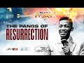 PANGS OF RESURRECTION - APOSTLE EDU UDECHUKWU #IEC2024 #TheLifeofPrayer #ApostleAromeOsayi