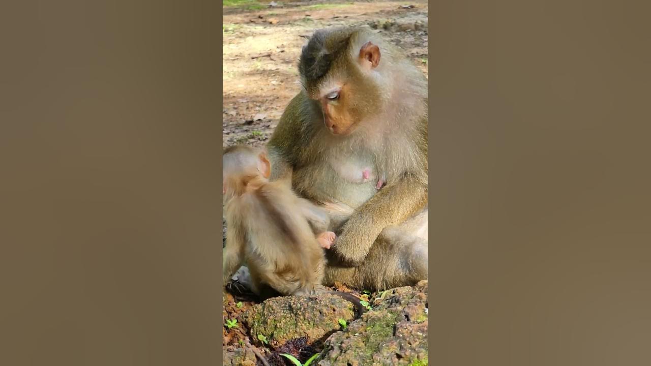 love baby so much, how can make to angry YouTube