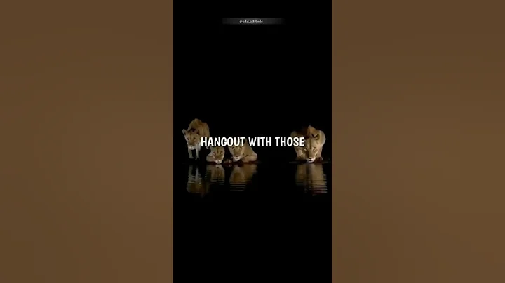 Sigma rule 😎🔥~ Attitude status 😈 | WhatsApp status | Attitude quotes #shorts #quotes #attitude