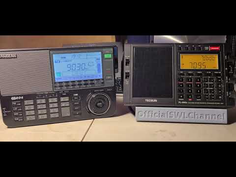 Sangean ATS-909X VS Tecsun PL-990x Personal observations on the two radios and which one I would buy