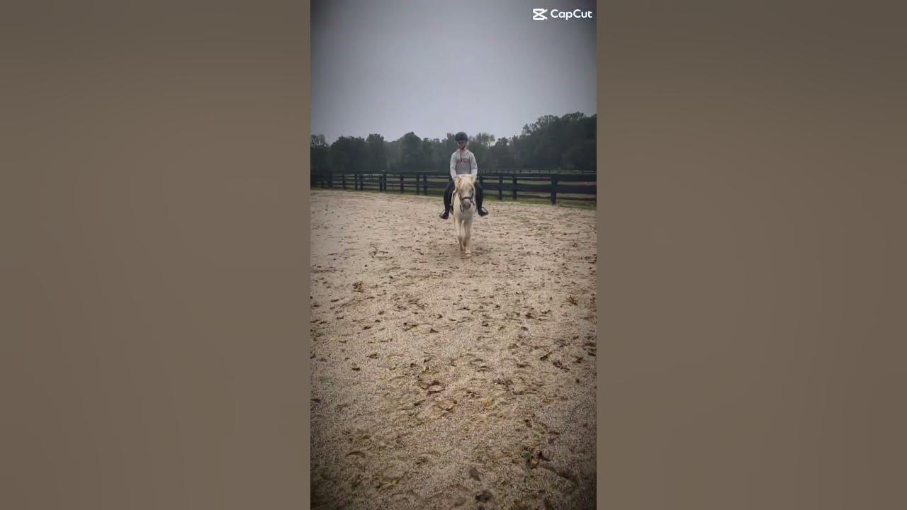 E_C_equestrian YouTube