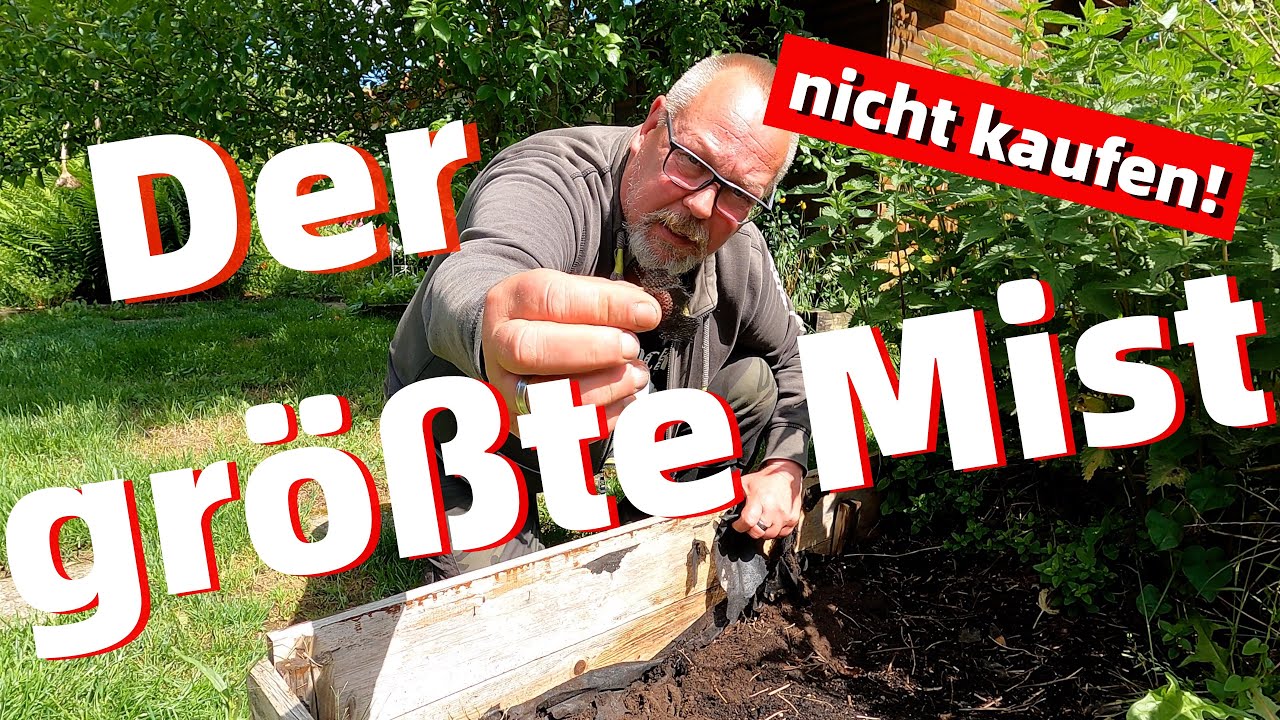 Was soll das Zeug in unseren Gärten? / Wilde Ecken, gepflegtes Gemüse / was fehlt den Zucchini?