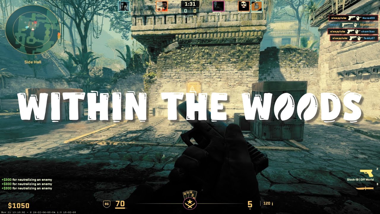 WITHIN THE WOODS 🪵 (CS2 Montage)