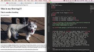 Lecture - 12 (HTML Attributes)