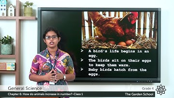 Grade 4 General Science Chapter 6 Class 1 Reproduction, Animals that lay Eggs