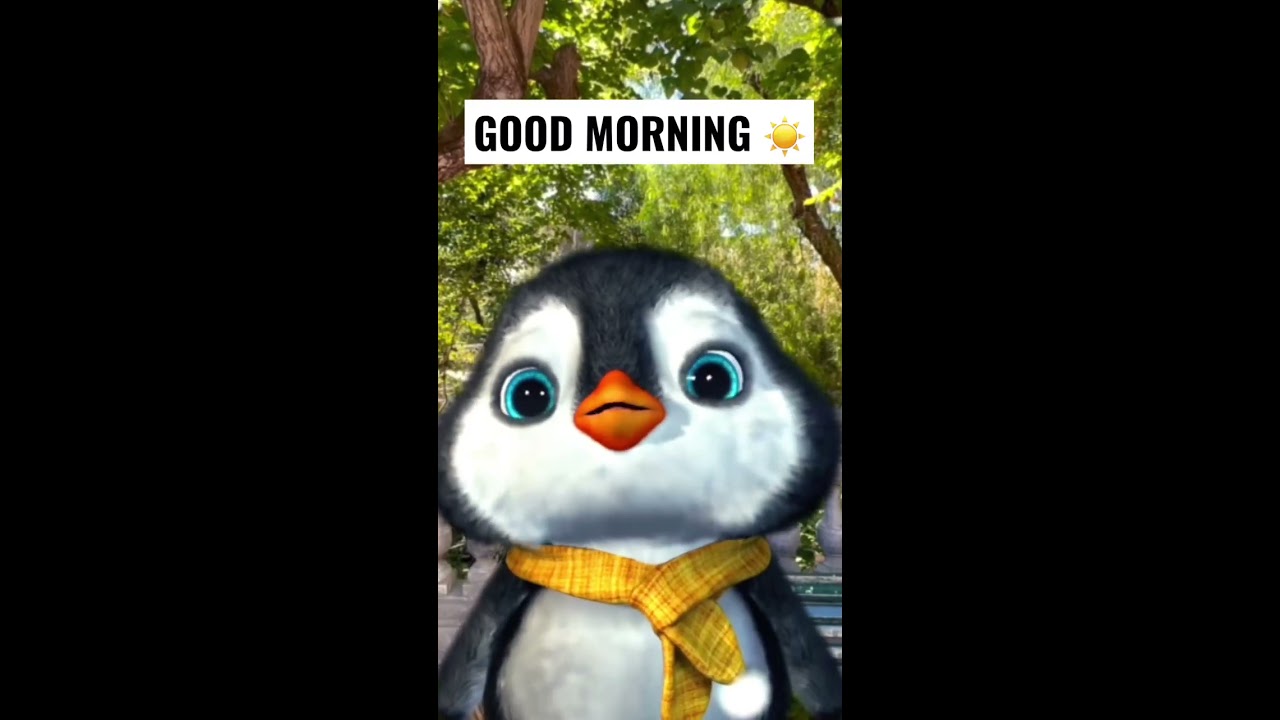 GM Goodmorning Gm Morningvibes Ily Iloveu Iloveyou