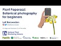 NPMS: 初心者のための植物写真 - ウェビナー録画