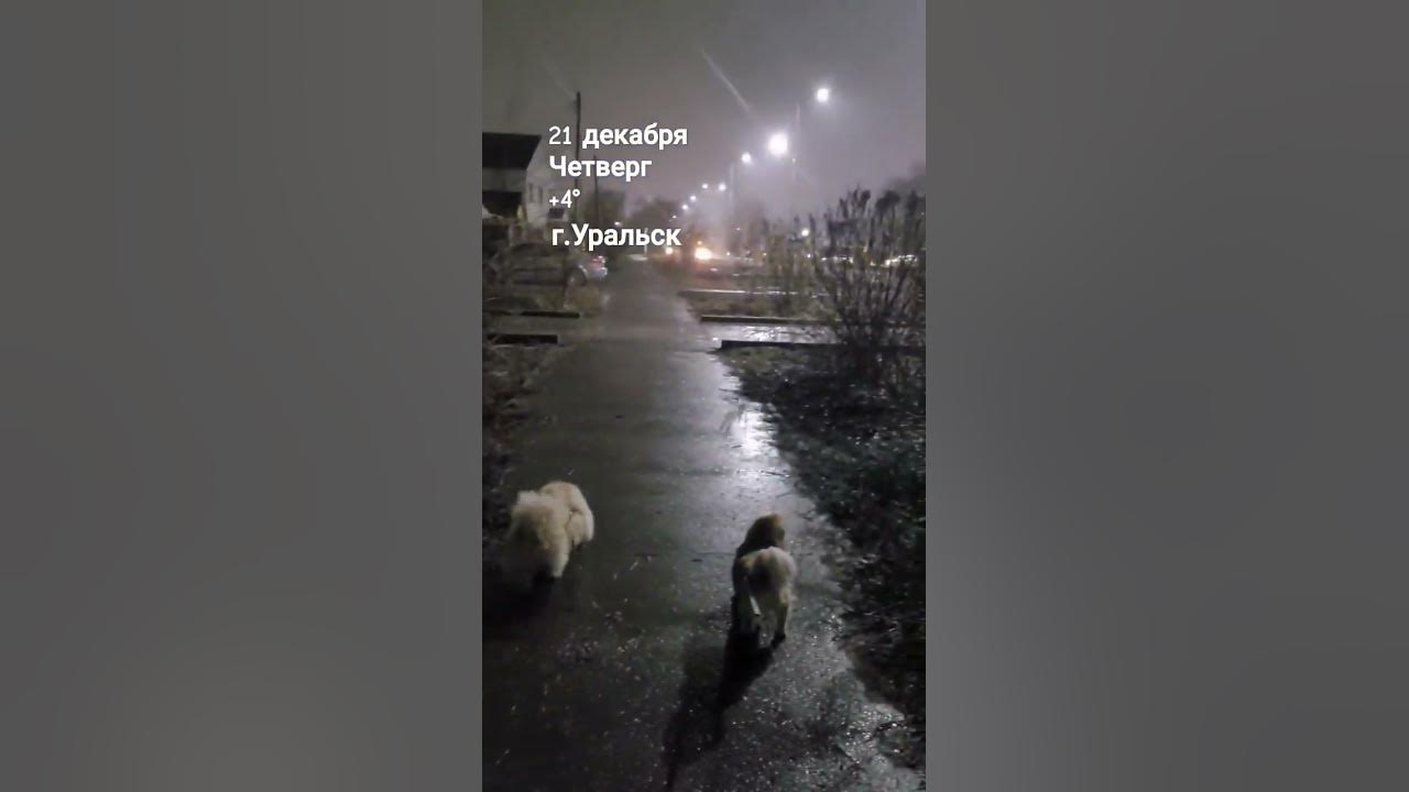 #nature #погода #погодасалисой #уральск - YouTube