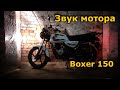 BAJAJ Boxer 150 2020 / motorcycle engine and exhaust sound / звук