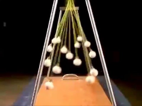 amazing pendulum waves