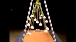 amazing pendulum waves