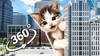 VR 360° Scuba Cat Movie Compilation! VR 4K