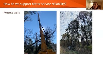 Utility Arboriculture Explained