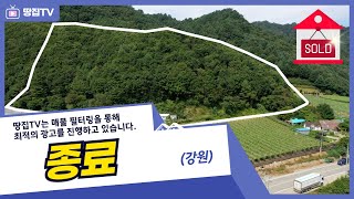 [진행중] 반자연으로 살기 딱 좋은 풀하우스. 삼시세끼 산삼 먹고 황토집과 숲속길에서 심신치유