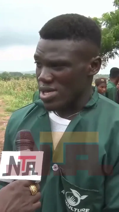 Kwara Poly Harvests Tons Of Maize From Its Commercial Farm edn’s Directive New | NTA