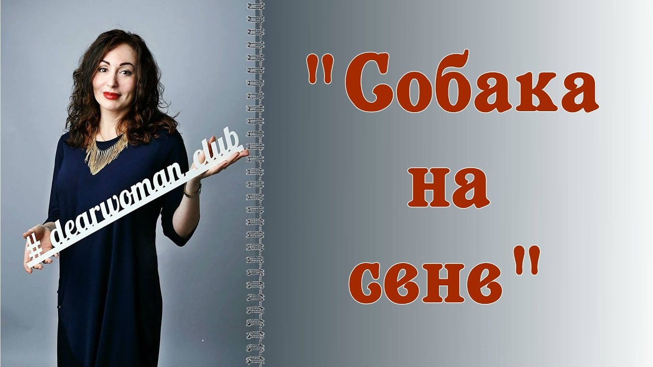 СОБАКА НА СЕНЕ| Рубрика "Ответы на вопросы" - YouTube