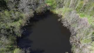 Петровский пруд #dronie