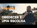 [NCDP] OBEDECER É UMA ESCOLHA - Luciano Subirá