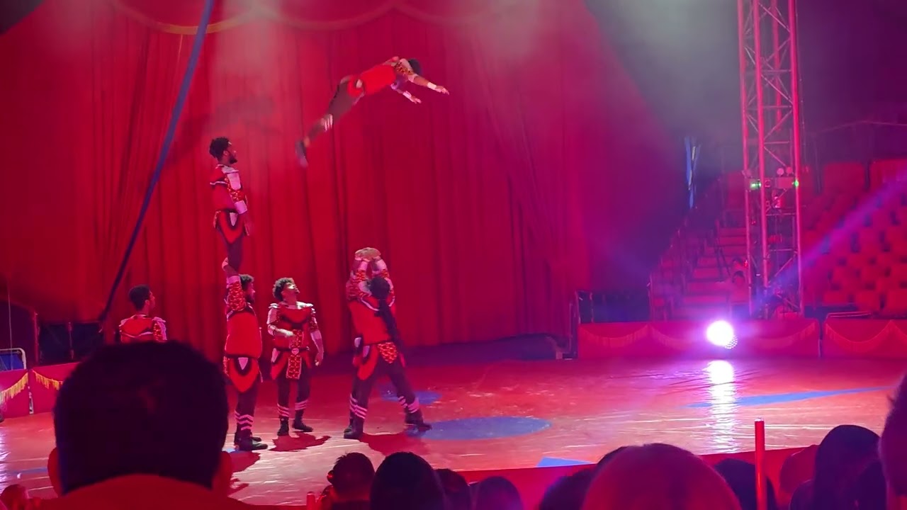Do Portugal Circus 8