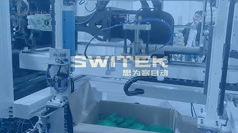 SWITEK IML SYSTEM-Popular products in Egypt 2 cavites Shaped cover