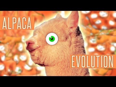 This game will change your life forever.. (Alpaca Evolution)