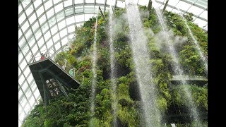 濱海灣花園〈花穹霧林〉雙溫室-雲霧林冷室