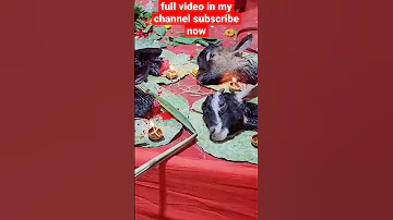 Kali Puja Bali 2022 