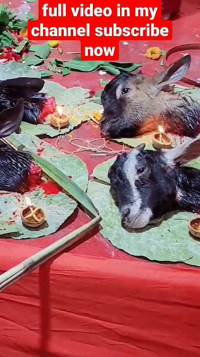 kali puja bali 2022
