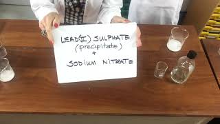 11 Making Lead II Sulphate Precipitation