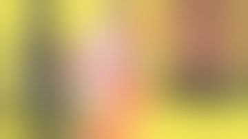 Dynavap Armored Cap VS FMJ