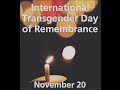 TDOR 2015