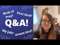 Q&amp;A: Dream bird? My job? Why I started my channel? | BirdNerdSophie