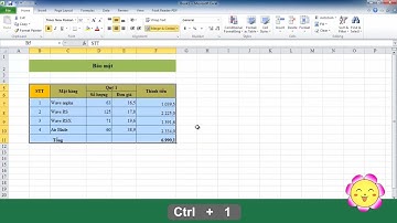 Tự học Excel cơ bản bài 23 bảo mật trong excel | tự học excel tại nhà