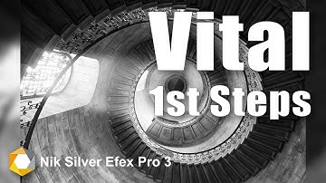 Important First Steps When Using Silver Efex Pro
