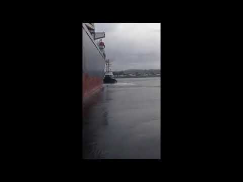 tugboat crash - whose fault ?
