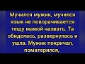 Толька для взрослых,анекдот как девушка потеряла свои плавки,анекдот как тёща упала в колодец.