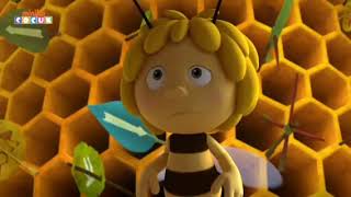 Arı Maya Uçuş İzni Minika Çocuk