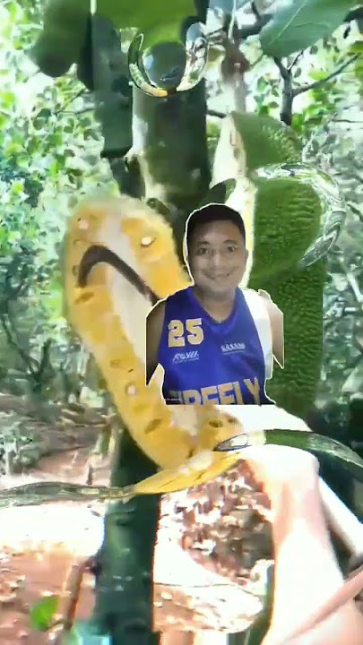 LANGKA NI KAGAWAD #SHORTS #TRENDING #VIRAL #ASMR #AMAZING #SOUNDS #LANGKA