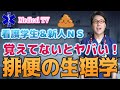 覚えてないとヤバい！排便の生理学！消化器編！【新人看護師さん＆看護学生さん】