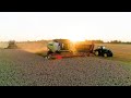 Javapjūtė 2020 | Wheat Harvest 2020 | Dirmeikių ūkis | Żniwa | 3 x Claas  & John Deere | Ernte |