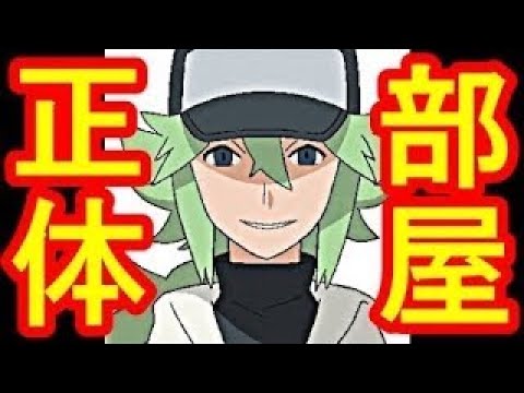 アニメ N ポケモン 都市伝説 ポケモン怖い話 N エヌ の部屋と正体