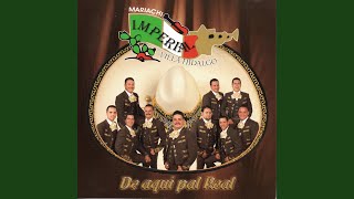 Video thumbnail of "MARIACHI IMPERIAL VILLA HIDALGO - Corazon Partido"