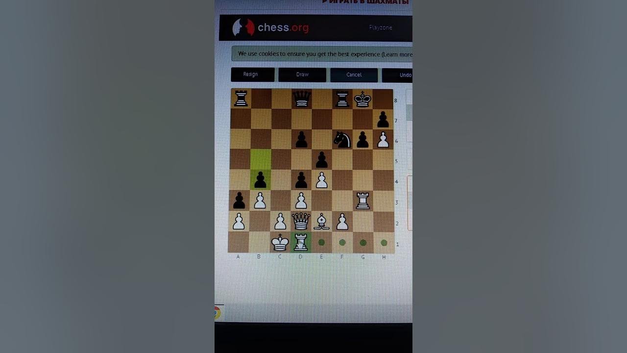 Ангара чесс шахматы