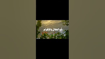 تلاوة خاشعة تهز القلوب 🌿 | قرآن كريم بصوت جميل يريح القلب #اكسبلور #quran #حالات_واتس #shortvideo